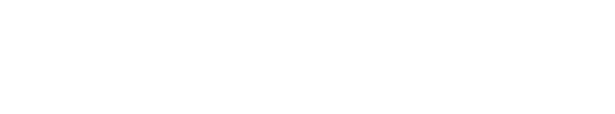 Lifespan Fitness Logo